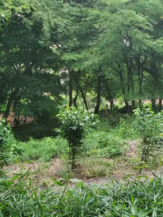男浅間神社の自然