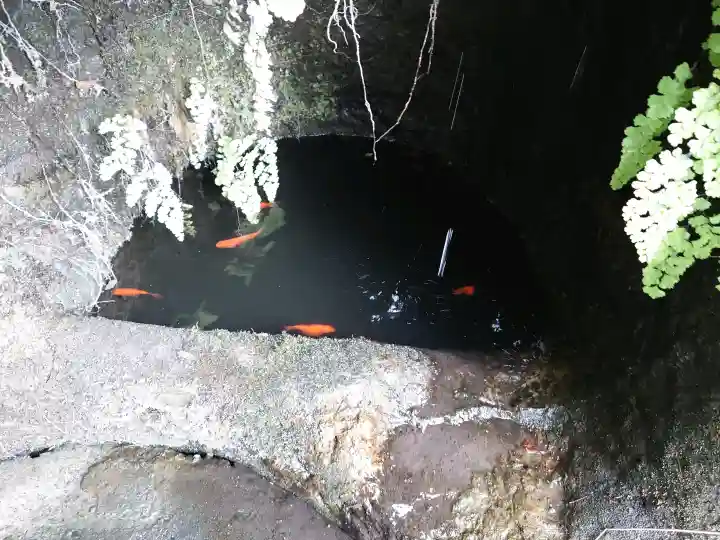 銭洗弁財天宇賀福神社の{uncategorized: "未分類", other: "その他", undefined: "問題あり", building: "その他建物", grave: "お墓", sacred_gate: "鳥居", guardian: "狛犬", statue: "像", buddha: "仏像", history: "歴史", nature: "自然", garden: "庭園", animal: "動物", pagoda: "塔", temizu: "手水舎", mountain_gate: "山門・神門", sanctuary: "本殿・本堂", subordinate: "末社・摂社", art: "芸術", scenery: "景色", jizo: "地蔵", ema: "絵馬", goshuin: "御朱印", omikuji: "おみくじ", items: "授与品その他", amulet: "お守り", goshuincho: "御朱印帳", eats: "食事", festival: "お祭り", votive_dance: "神楽", shichigosan: "七五三参", wedding: "結婚式", experience: "体験その他", initially: "初詣", around: "周辺", anti_infection: "感染症対策"}