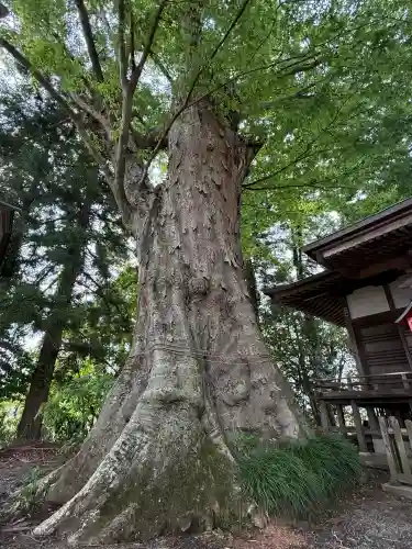 八幡宮(栃木県)