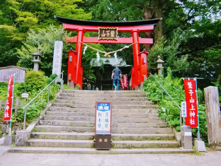 鷲子山上神社の鳥居