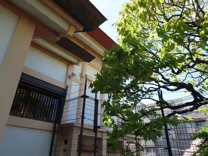 住吉神社(神奈川県)