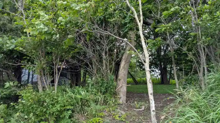 旭春日神社の自然