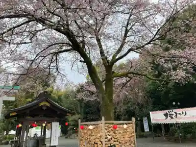 出雲大社相模分祠の{uncategorized: "未分類", other: "その他", undefined: "問題あり", building: "その他建物", grave: "お墓", sacred_gate: "鳥居", guardian: "狛犬", statue: "像", buddha: "仏像", history: "歴史", nature: "自然", garden: "庭園", animal: "動物", pagoda: "塔", temizu: "手水舎", mountain_gate: "山門・神門", sanctuary: "本殿・本堂", subordinate: "末社・摂社", art: "芸術", scenery: "景色", jizo: "地蔵", ema: "絵馬", goshuin: "御朱印", omikuji: "おみくじ", items: "授与品その他", amulet: "お守り", goshuincho: "御朱印帳", eats: "食事", festival: "お祭り", votive_dance: "神楽", shichigosan: "七五三参", wedding: "結婚式", experience: "体験その他", initially: "初詣", around: "周辺", anti_infection: "感染症対策"}