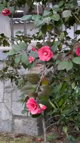 興聖寺(京都府)