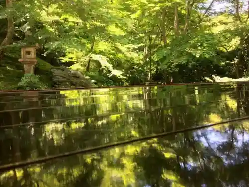 光明寺瑠璃光院の庭園