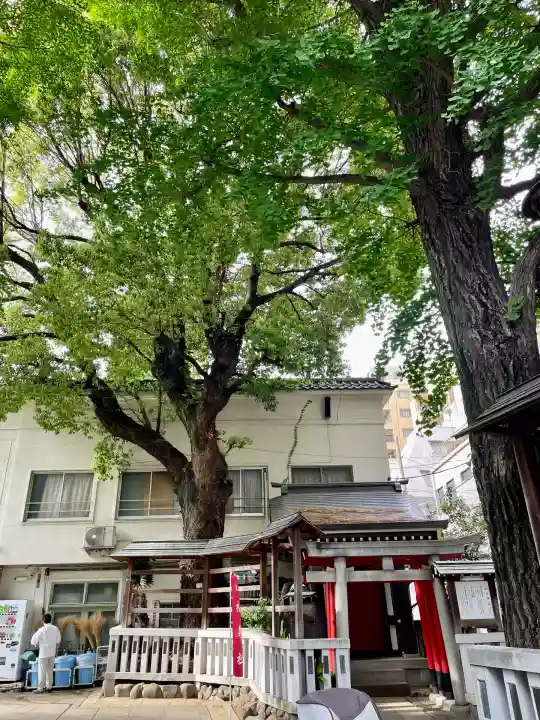 鳥越神社(東京都)