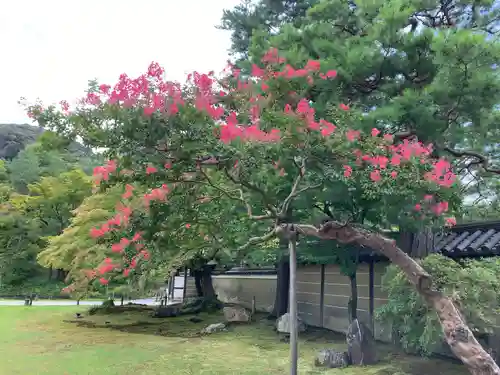 高台寺（高台寿聖禅寺・高臺寺）の庭園