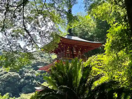 青龍寺(高知県)