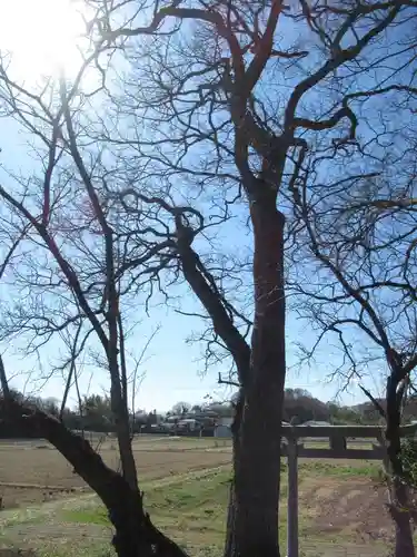 神明神社(千葉県)