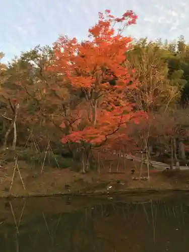 高台寺（高台寿聖禅寺・高臺寺）(京都府)