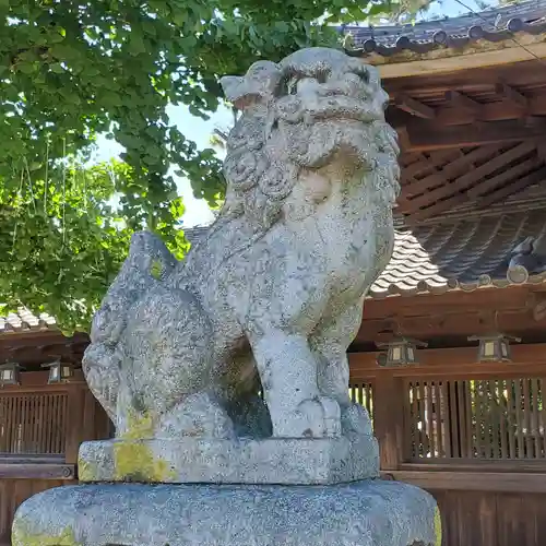 尾張八幡神社の狛犬