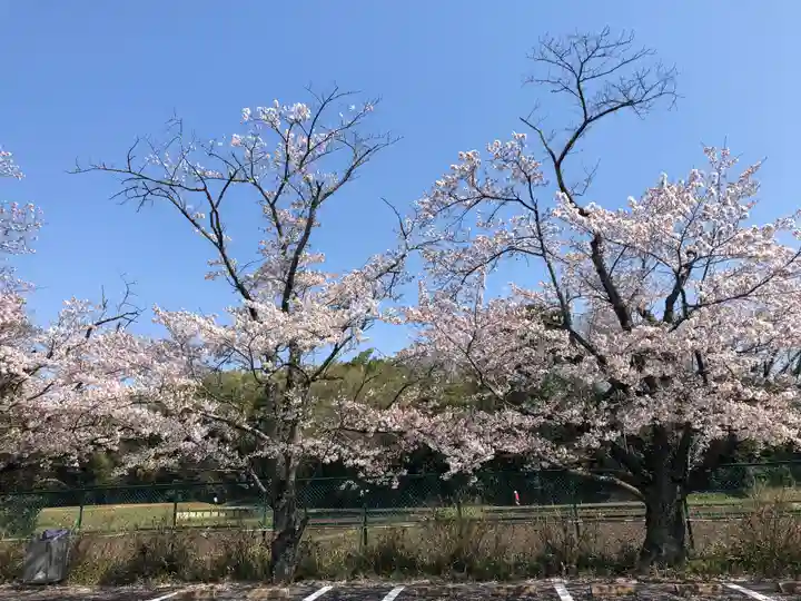 大聖寺(土浦大師不動尊)の自然