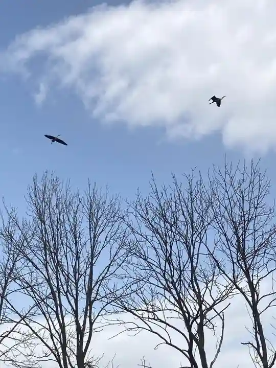 長沼神社の周辺