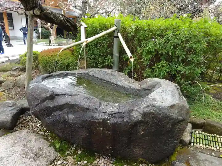 長谷寺の手水舎