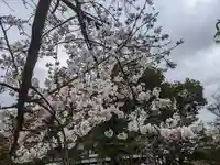 武蔵第六天神社の自然