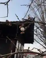 温泉神社〜いわき湯本温泉〜(福島県)