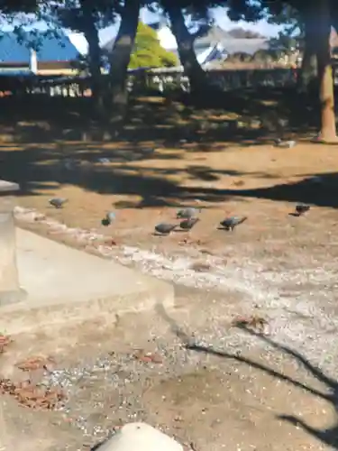 鑁阿寺(栃木県)