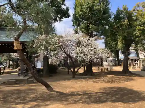 圓融寺の{uncategorized: "未分類", other: "その他", undefined: "問題あり", building: "その他建物", grave: "お墓", sacred_gate: "鳥居", guardian: "狛犬", statue: "像", buddha: "仏像", history: "歴史", nature: "自然", garden: "庭園", animal: "動物", pagoda: "塔", temizu: "手水舎", mountain_gate: "山門・神門", sanctuary: "本殿・本堂", subordinate: "末社・摂社", art: "芸術", scenery: "景色", jizo: "地蔵", ema: "絵馬", goshuin: "御朱印", omikuji: "おみくじ", items: "授与品その他", amulet: "お守り", goshuincho: "御朱印帳", eats: "食事", festival: "お祭り", votive_dance: "神楽", shichigosan: "七五三参", wedding: "結婚式", experience: "体験その他", initially: "初詣", around: "周辺", anti_infection: "感染症対策"}