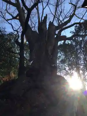 白瀧神社(群馬県)