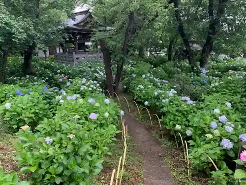 妙楽寺の庭園