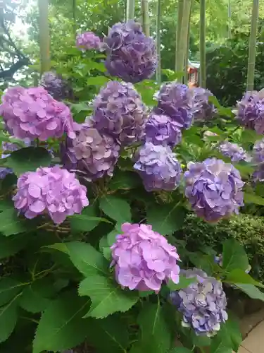 鈴鹿明神社(神奈川県)