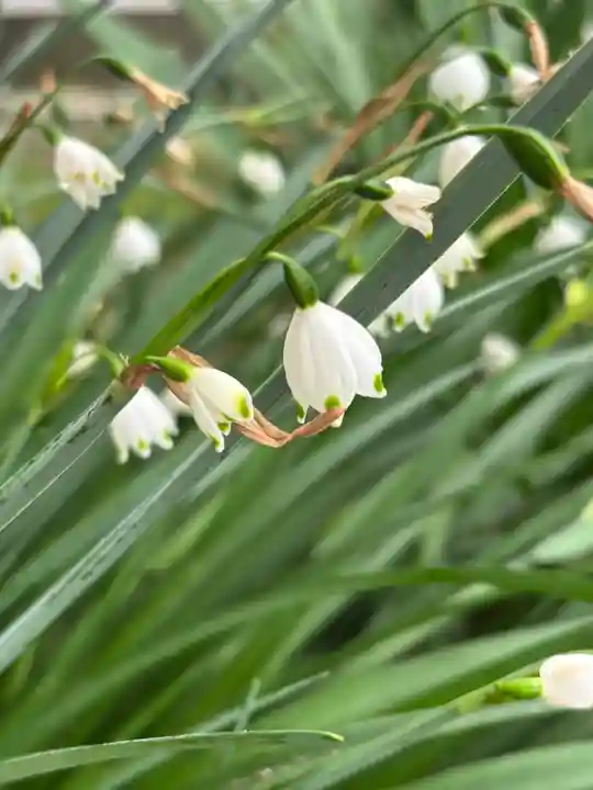 西福寺(兵庫県)