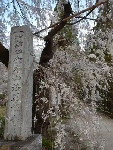 法善寺のその他建物