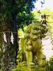 側高神社の狛犬