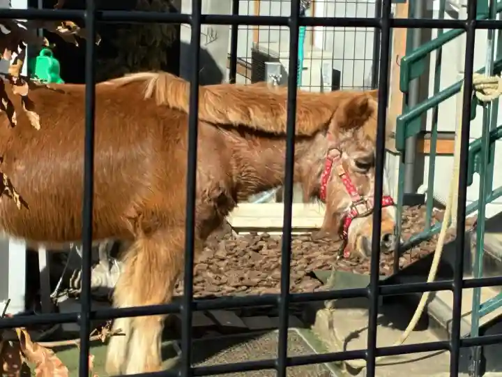 五方山熊野神社の{uncategorized: "未分類", other: "その他", undefined: "問題あり", building: "その他建物", grave: "お墓", sacred_gate: "鳥居", guardian: "狛犬", statue: "像", buddha: "仏像", history: "歴史", nature: "自然", garden: "庭園", animal: "動物", pagoda: "塔", temizu: "手水舎", mountain_gate: "山門・神門", sanctuary: "本殿・本堂", subordinate: "末社・摂社", art: "芸術", scenery: "景色", jizo: "地蔵", ema: "絵馬", goshuin: "御朱印", omikuji: "おみくじ", items: "授与品その他", amulet: "お守り", goshuincho: "御朱印帳", eats: "食事", festival: "お祭り", votive_dance: "神楽", shichigosan: "七五三参", wedding: "結婚式", experience: "体験その他", initially: "初詣", around: "周辺", anti_infection: "感染症対策"}