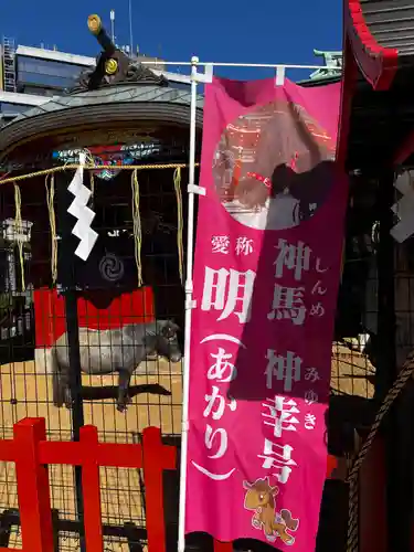 神田神社（神田明神）の動物