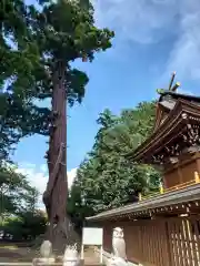 八幡宮(茨城県)