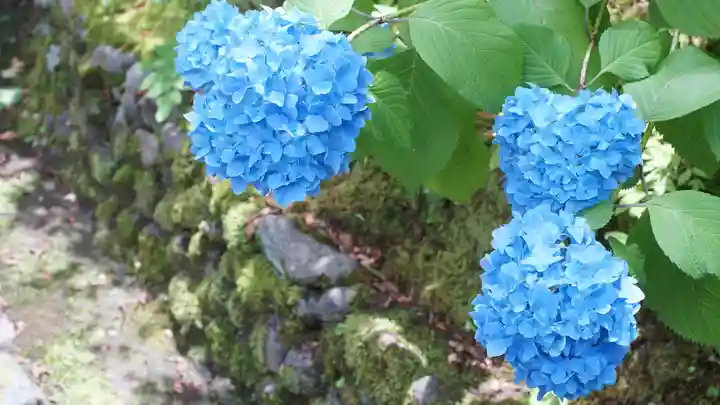 東福禅寺(東福寺)(京都府)
