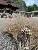 手力雄神社(岐阜県)