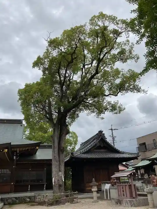 天地社(愛知県)