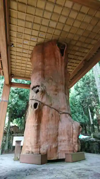 国造神社のその他建物