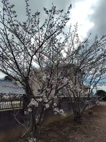 八幡神社(埼玉県)
