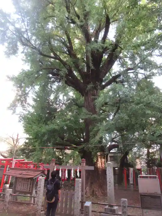鬼子母神堂 (法明寺)(東京都)