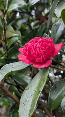 城南宮(京都府)