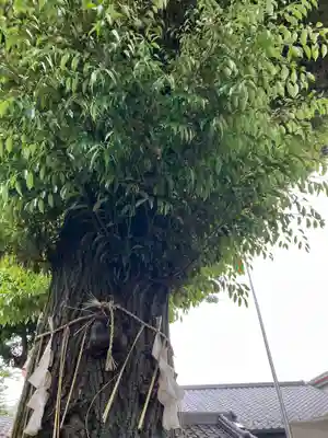 蛇窪神社(東京都)