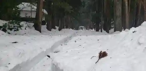 平泉寺白山神社(福井県)
