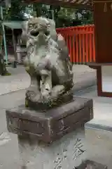 深川神社の狛犬