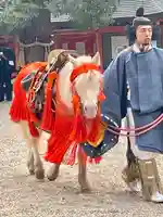 住吉大社(大阪府)