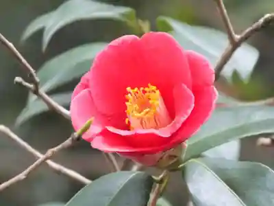 石山寺(滋賀県)