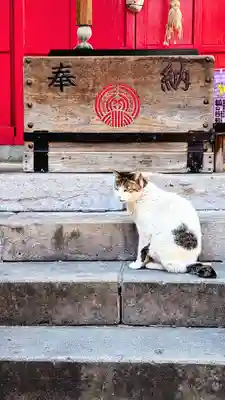 装束稲荷神社(王子稲荷神社境外摂社)の動物
