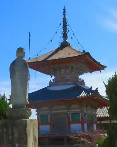 酒見寺の塔