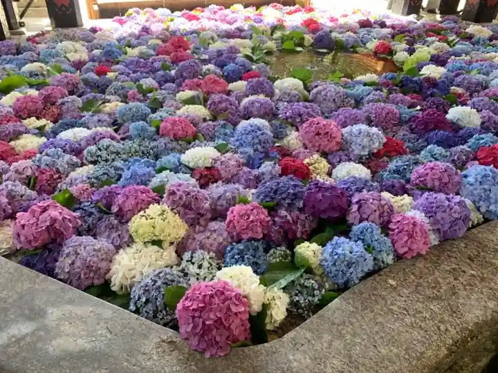 太宰府天満宮の手水舎