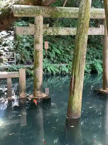 鹿島神宮(茨城県)