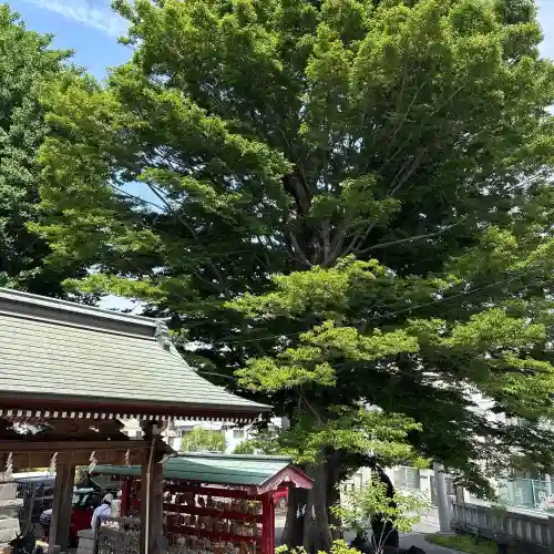 滝野川八幡神社の{uncategorized: "未分類", other: "その他", undefined: "問題あり", building: "その他建物", grave: "お墓", sacred_gate: "鳥居", guardian: "狛犬", statue: "像", buddha: "仏像", history: "歴史", nature: "自然", garden: "庭園", animal: "動物", pagoda: "塔", temizu: "手水舎", mountain_gate: "山門・神門", sanctuary: "本殿・本堂", subordinate: "末社・摂社", art: "芸術", scenery: "景色", jizo: "地蔵", ema: "絵馬", goshuin: "御朱印", omikuji: "おみくじ", items: "授与品その他", amulet: "お守り", goshuincho: "御朱印帳", eats: "食事", festival: "お祭り", votive_dance: "神楽", shichigosan: "七五三参", wedding: "結婚式", experience: "体験その他", initially: "初詣", around: "周辺", anti_infection: "感染症対策"}