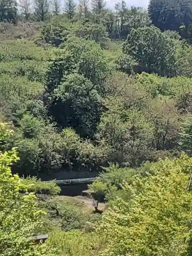 矢背負稲荷神社(群馬県)
