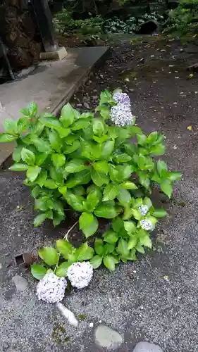 比布神社の自然